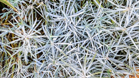 The Path To My&nbsp;Home