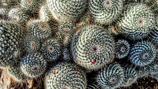 Breathing Through Another&nbsp;Day