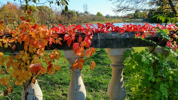 Looking As If You Are Really&nbsp;There