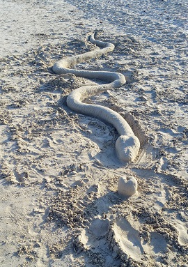 The Snake and the&nbsp;Apple