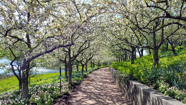 The Lovely Details of Blooming