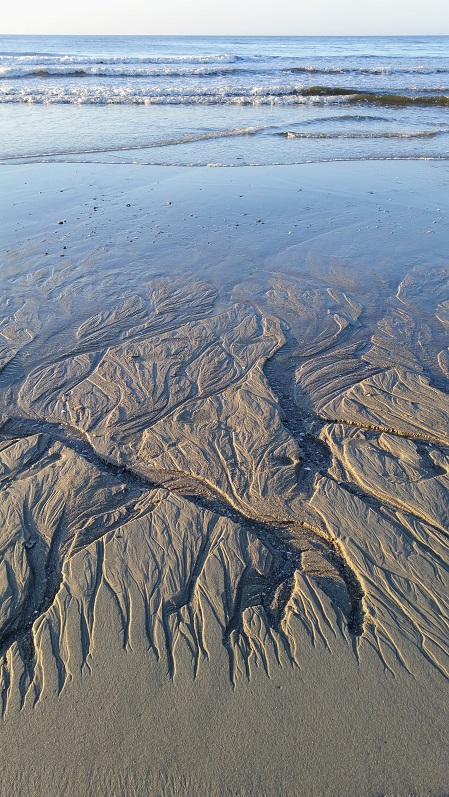 Low Tide Atlantic Ocean