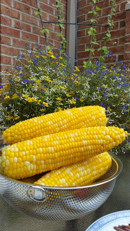 Sweet Corn