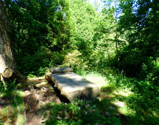 The Bed in the Forest — #writephoto Peace