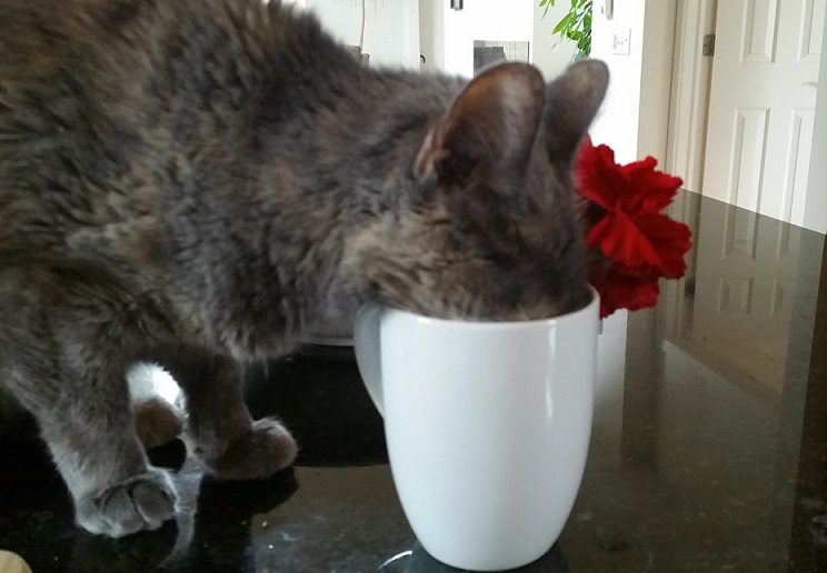 Kiki Hiding Her Face