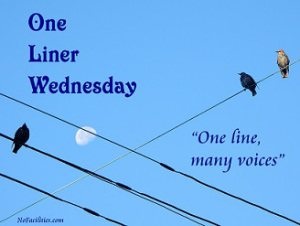 #1linerWeds badge by Dan Antion