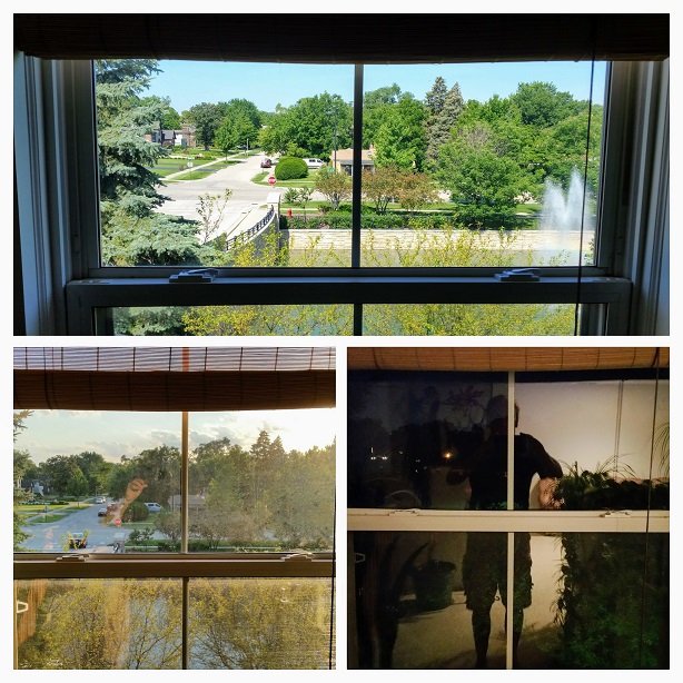 Same Window Different Views