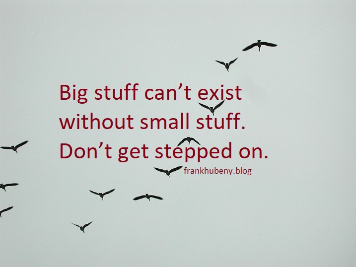 Big stuff can't exist without small stuff. Don't get stepped on.