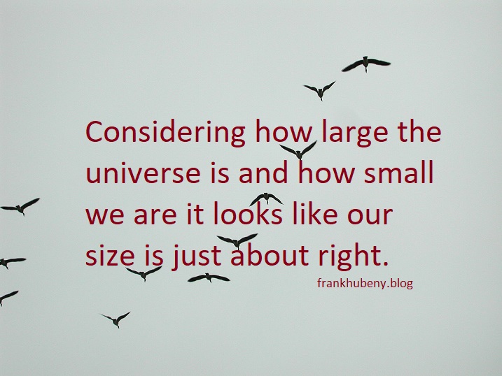 Considering how large the universe is and how small we are it looks like our size is just about right