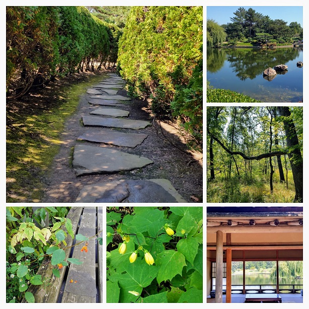 At the Chicago Botanic Garden