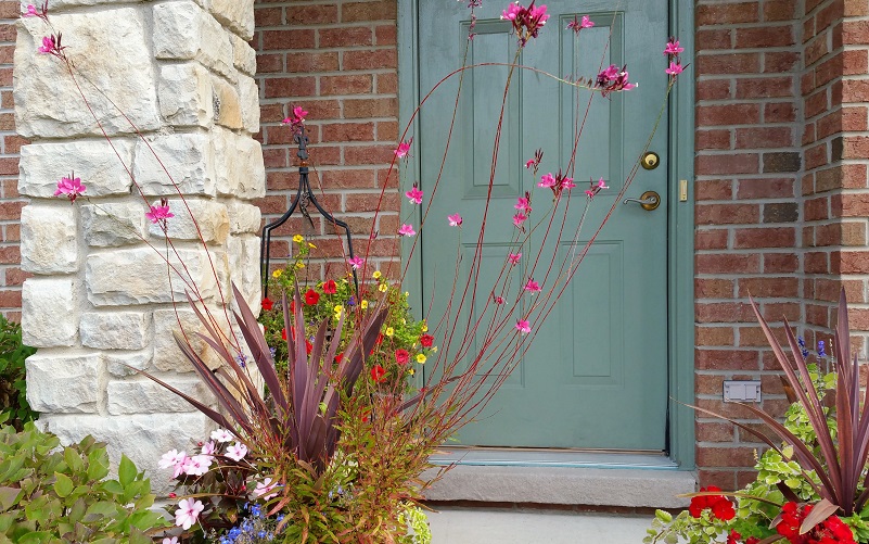 Pink Guardians of the Entrance