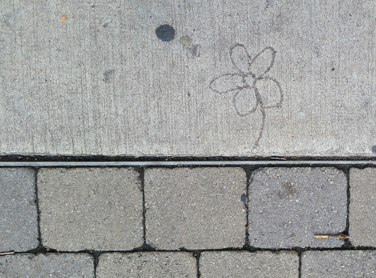 Sidewalk Flower and Dark Sun