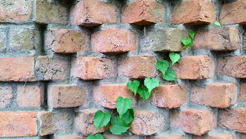 Life Changes the Brick Wall