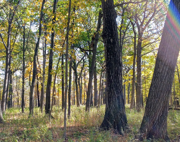 And Then There Was a Rainbow
