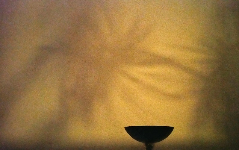 What Goes Bump in the Night