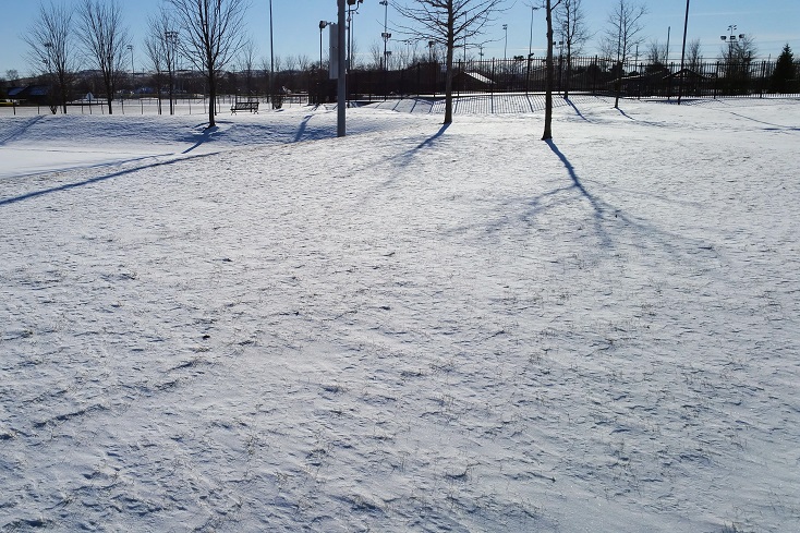 Snow Covered Park