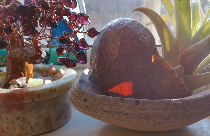 Window Sill