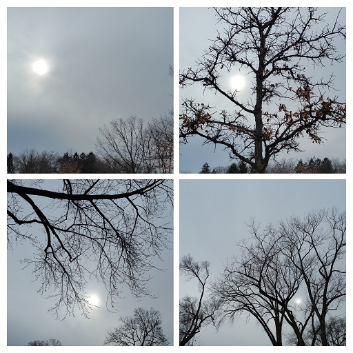 Earth Wearing Cloudy Sunglasses