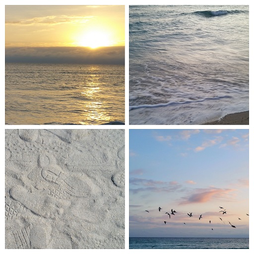 Earth, Fire, Air, Water