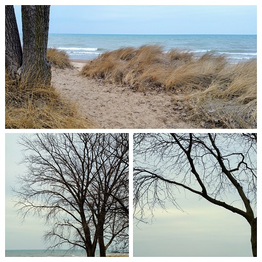 Lake Michigan from Gillson Park