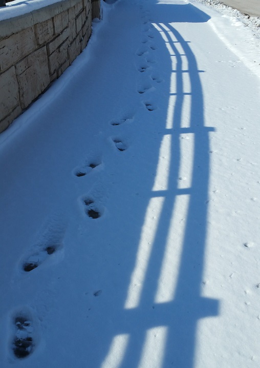 Snow and Shadow