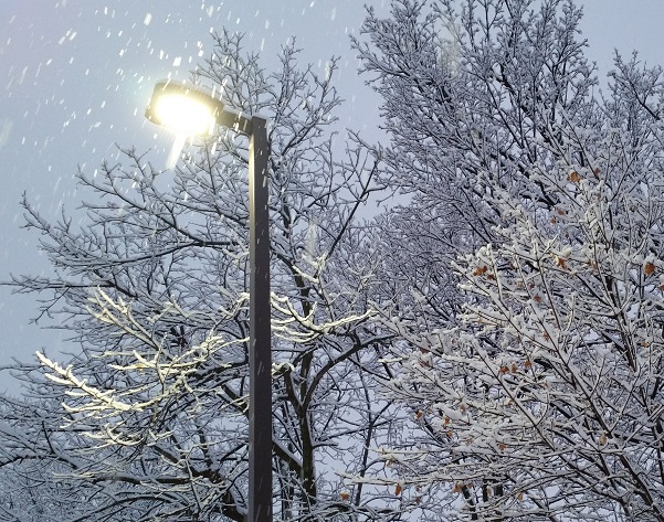 Light in Snow