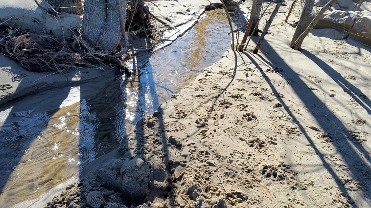 Water Seeking Lake Michigan