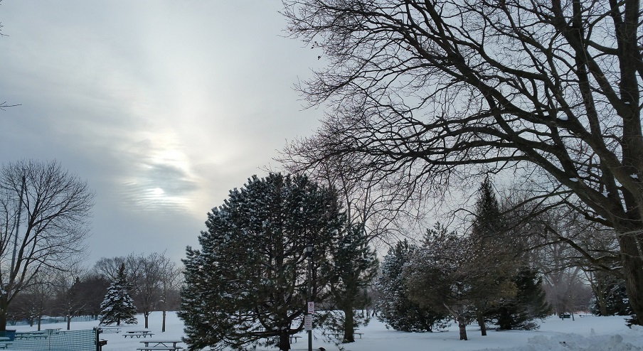 Winter Scene with Afternoon Sun