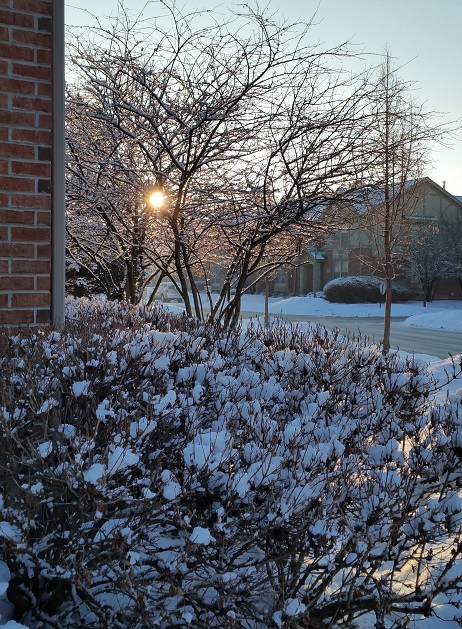 Winter Scene with Morning Sun