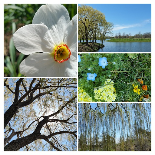 Somewhere Copper, Silver, Gold