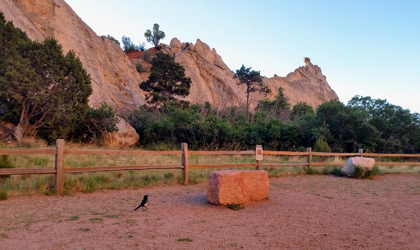 Magpie Amid Rock Formations