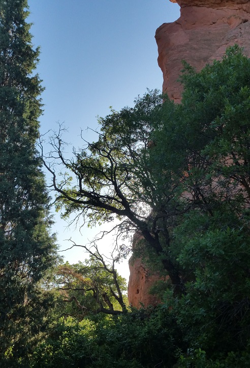 Morning Light Touches Dark