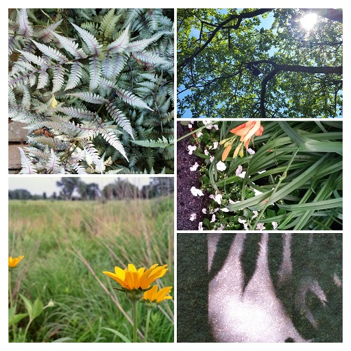 Where There's Sun There's a Shadow