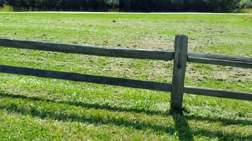 Fence and Field After Mowing