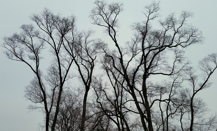 One-Liner Wednesday –&nbsp;Winter