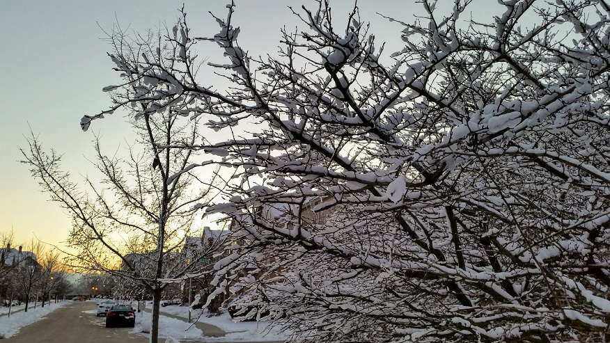 Snow Blessed Sunrise