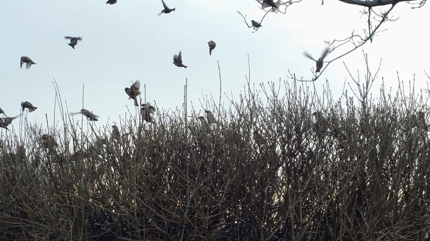 They're Not Dumb They Know I'm Watching