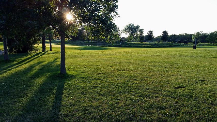 Living in the&nbsp;Light