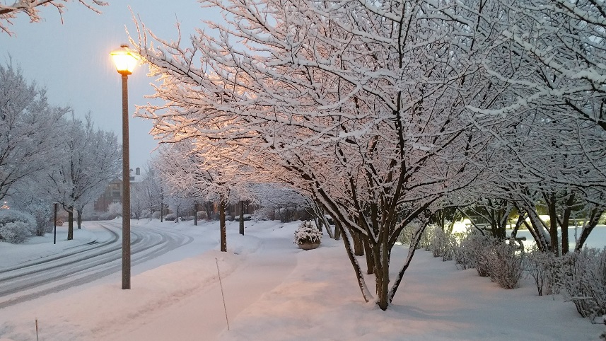 Streetlight and Snow