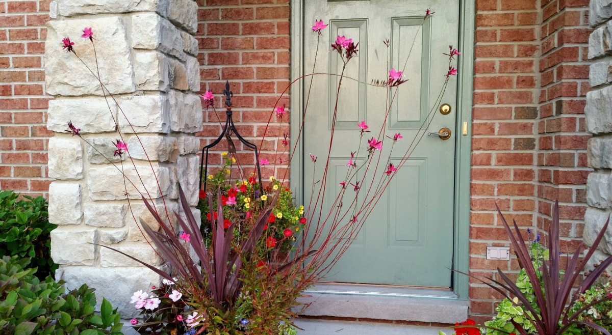 Flowers Guarding the Door