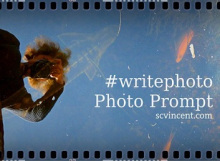 Sue Vincent's Image for #writephoto