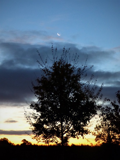 Sue Vincent's photo for the Thursday Photo Prompt: crescent-moon
