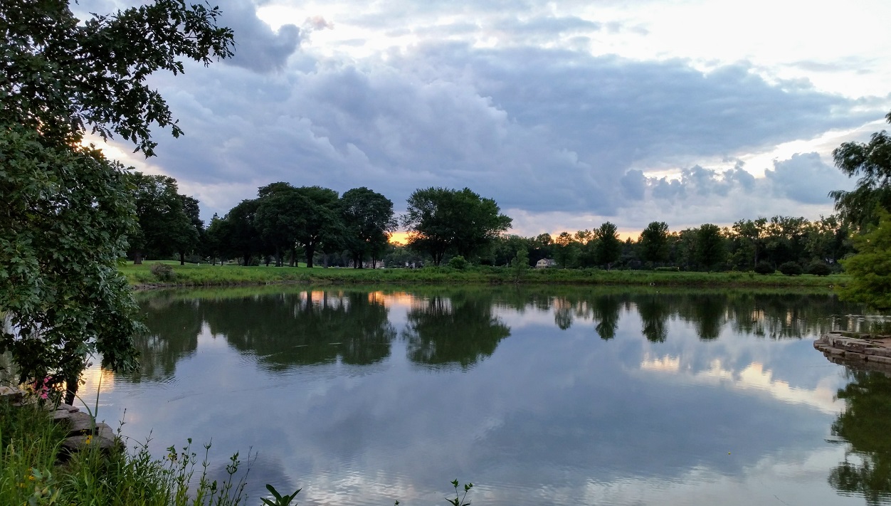 Sunset Between the Trees