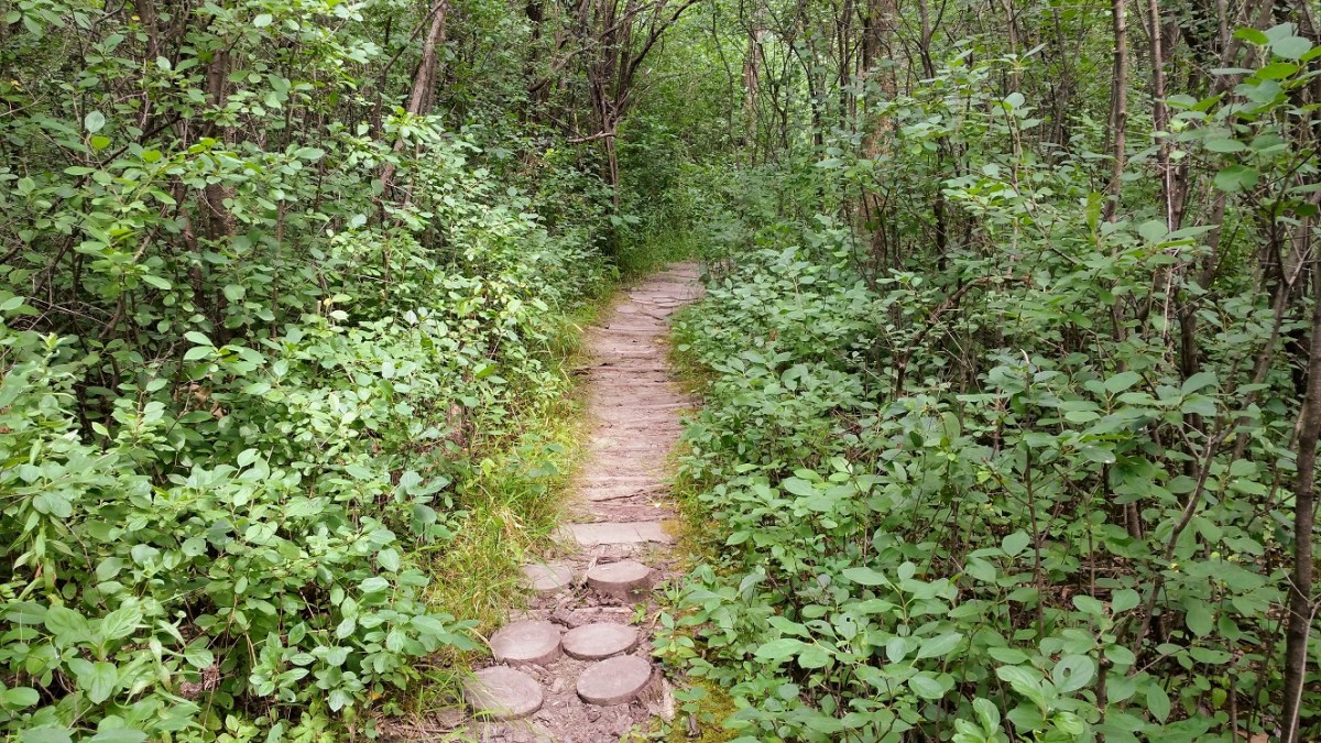 One-Liner Wednesday –&nbsp;Words