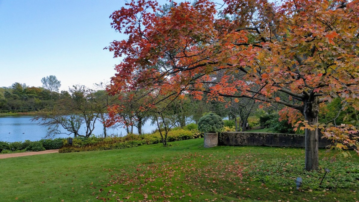 Resistance – Six Sentence&nbsp;Story