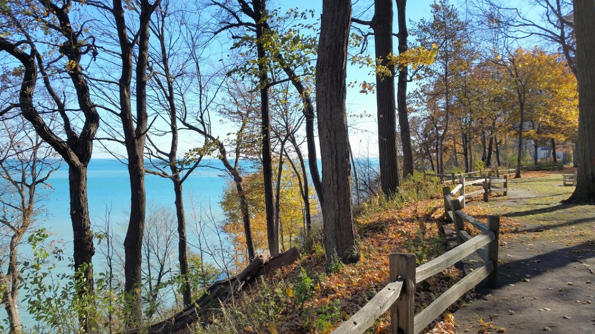 Cream of the&nbsp;Crop