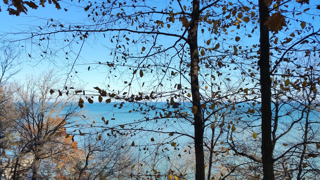 Lake Michigan Through a Nearly Leafless Tree