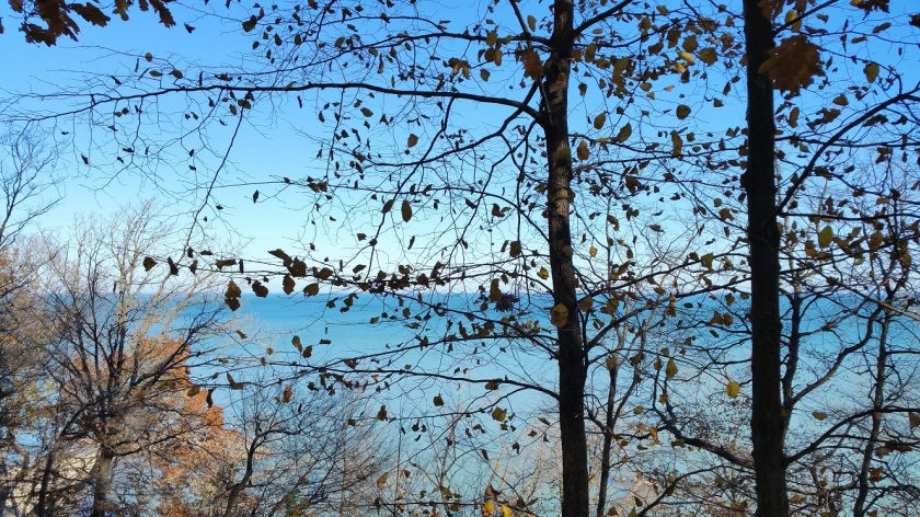 Lake Michigan Through a Nearly Leafless Tree