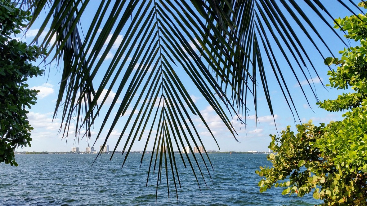 Horizon – Six Sentence&nbsp;Story