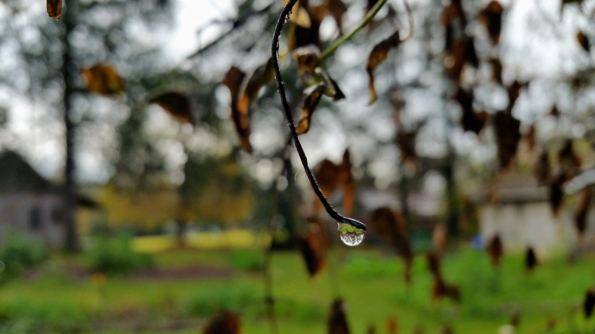 Sunday Walk 18 –&nbsp;Advent